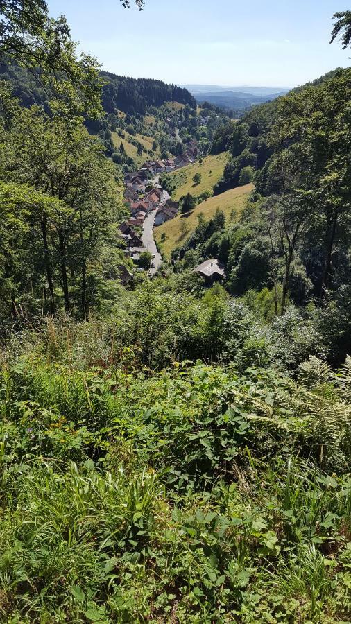 Fewo Bergblick Osterode am Harz Ngoại thất bức ảnh