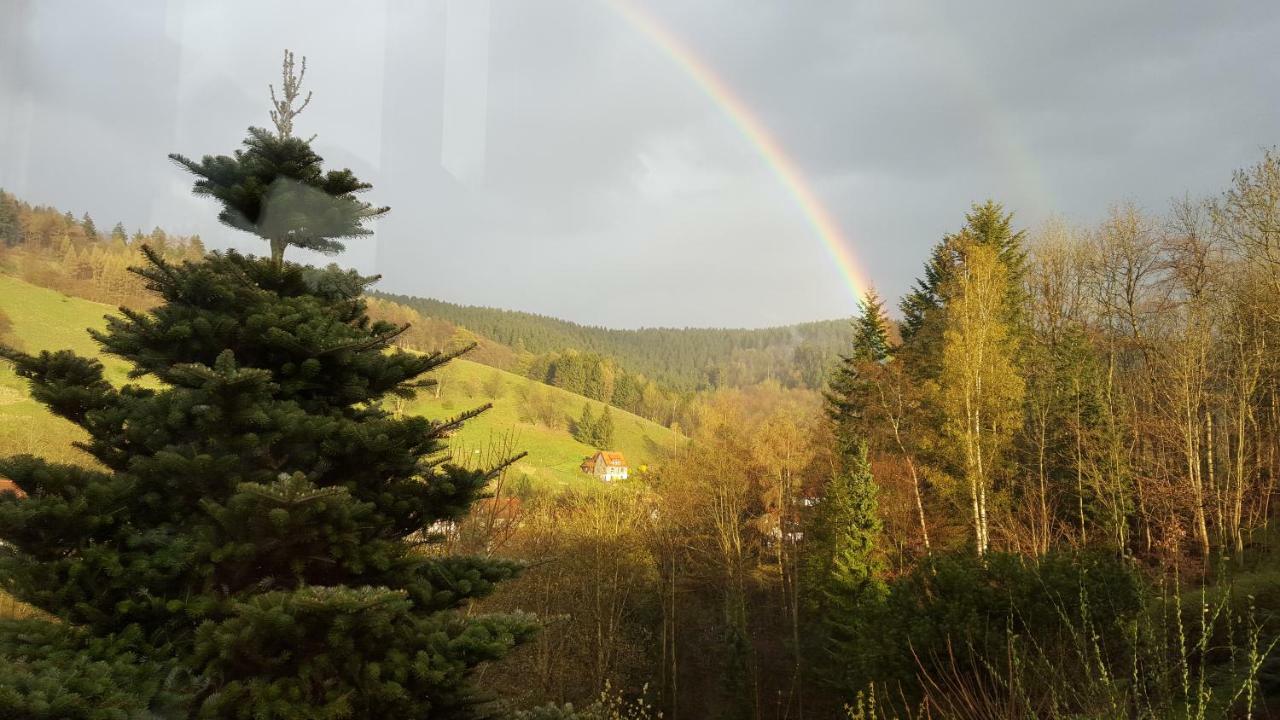 Fewo Bergblick Osterode am Harz Ngoại thất bức ảnh